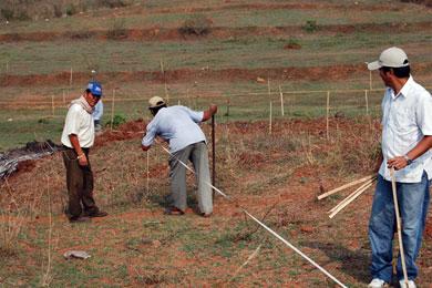 FENCING SITE